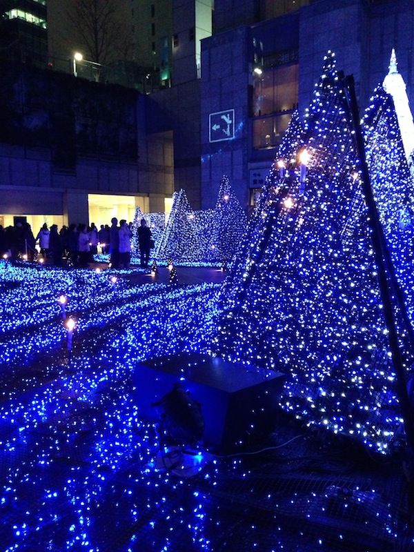 Árboles con luces de Navidad en Shiodome Caretta